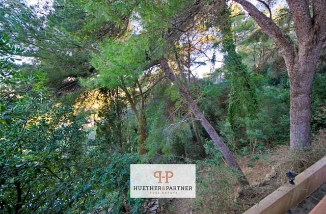 Undeveloped Land for sale in Canyamel, Capdepera - € 150,000 (Ref: 9672156)