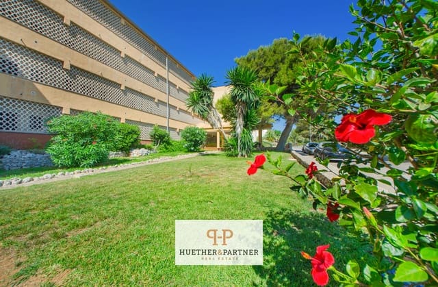 1 sypialnia Mieszkanie na sprzedaż w Calas de Mallorca, Manacor - 140 000 € (Ref: 9772442)
