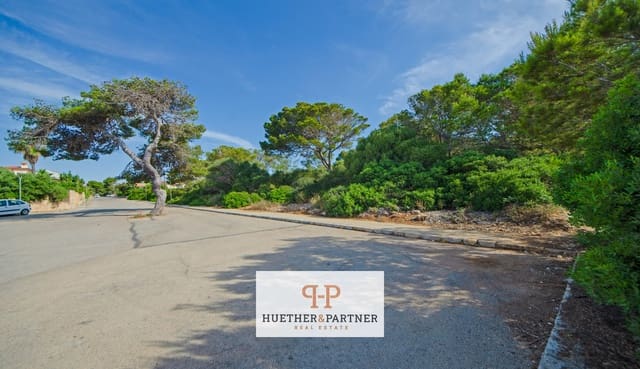 Terreno/Finca Rústica en Portocristo / Port de Manacor, Manacor en venta - 2.400.000 € (Ref: 9934988)