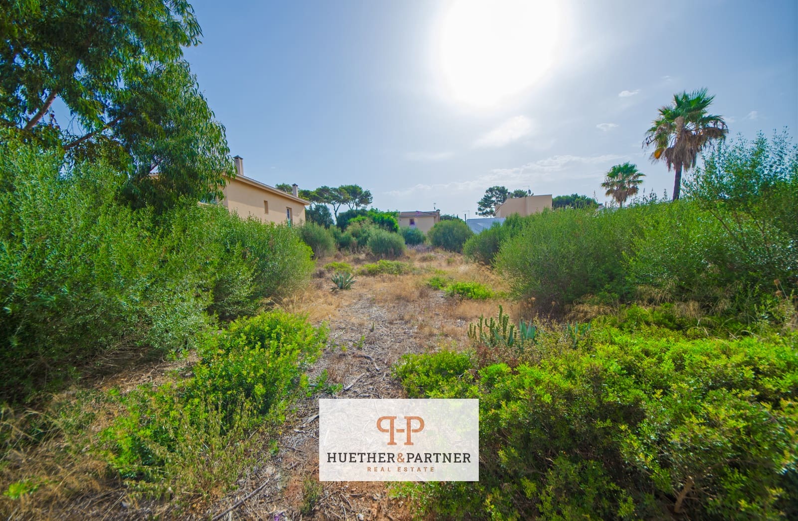 Terreno Non Edificato in vendita in Tolleric - 370.000 € (Rif: 9965968)