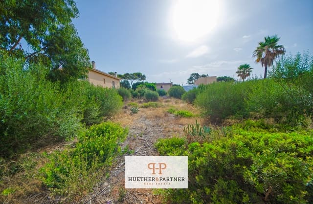 Terreno Non Edificato in vendita in Tolleric, Llucmajor - 370.000 € (Rif: 9965968)