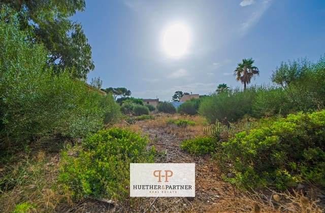 Terreno Non Edificato in vendita in Tolleric, Llucmajor - 370.000 € (Rif: 9965968)