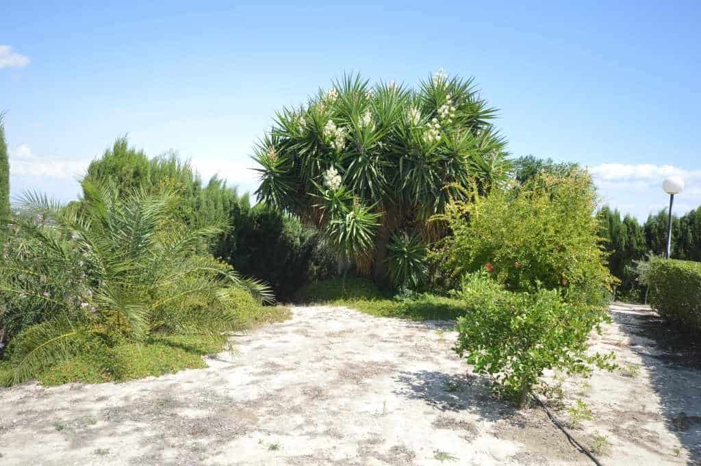 2 sovrum Villa att hyra i Bigastro med pool - 800 € (Ref: 5210555)