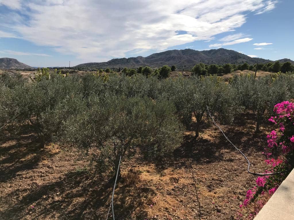 5 bedroom Villa for sale in Monovar / Monover with pool - € 399,000 (Ref: 9144113)