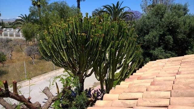 4 Zimmer Villa zu verkaufen in El Altet, Elche / Elx mit Pool - 370.000 € (Ref: 9148339)