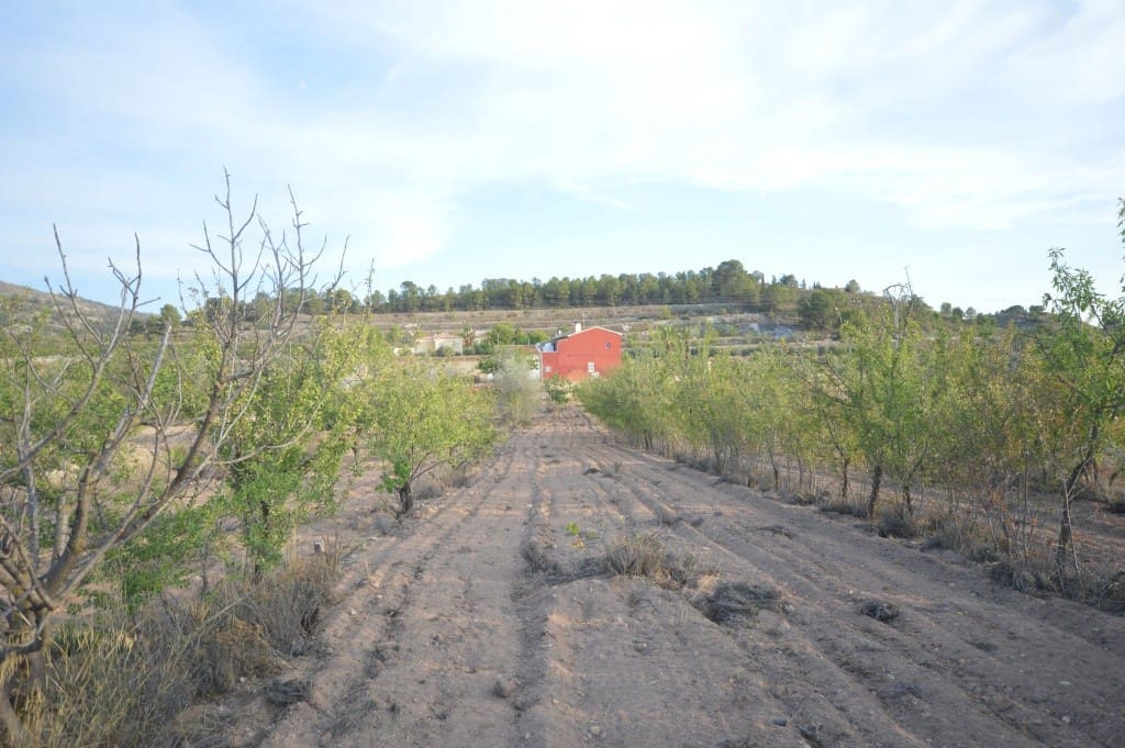 4 sovrum Finca/Hus på landet att hyra i Petrel / Petrer - 720 € (Ref: 9158142)