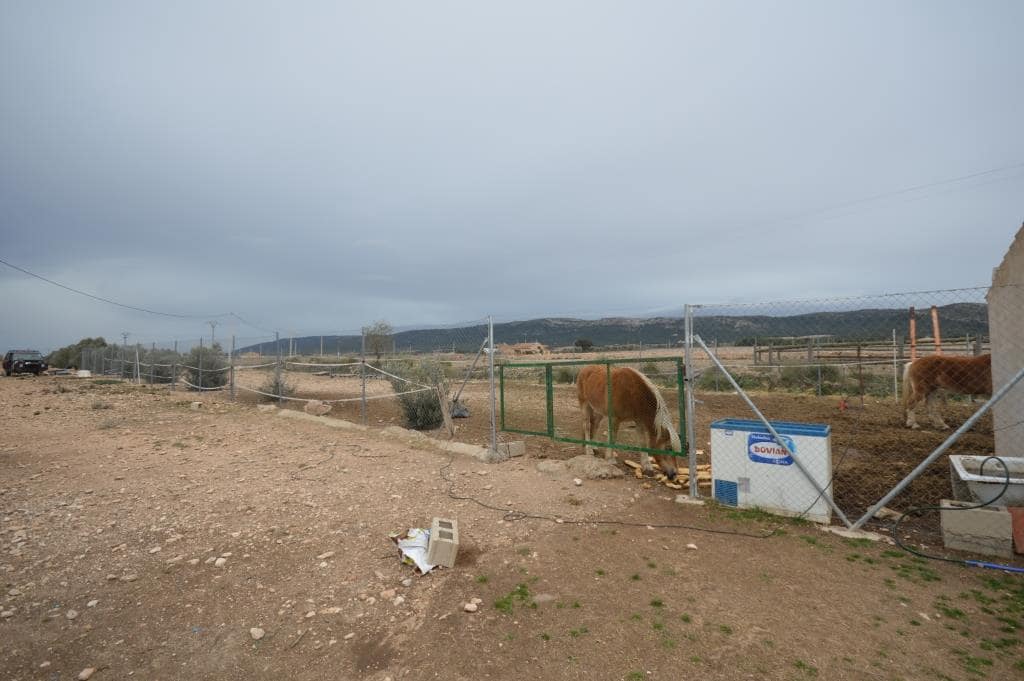 6 bedroom Villa for rent in Villena - € 1,300 (Ref: 9713360)