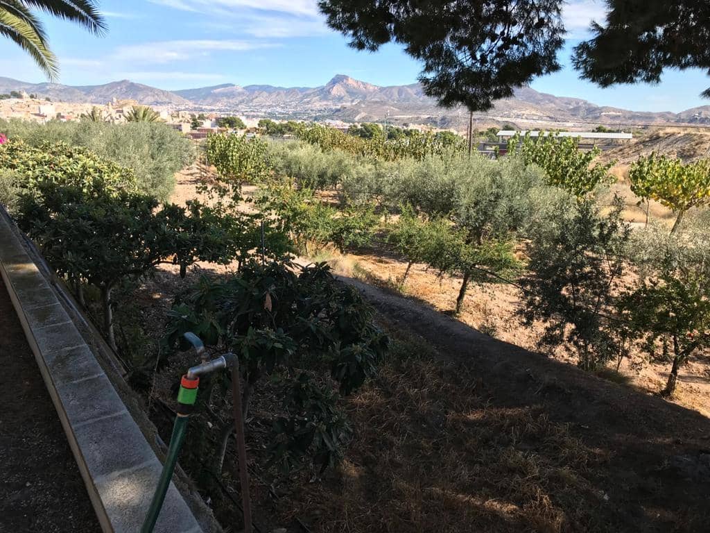 5 chambre Villa/Maison à vendre à Monovar / Monover avec piscine - 399 000 € (Ref: 9713362)