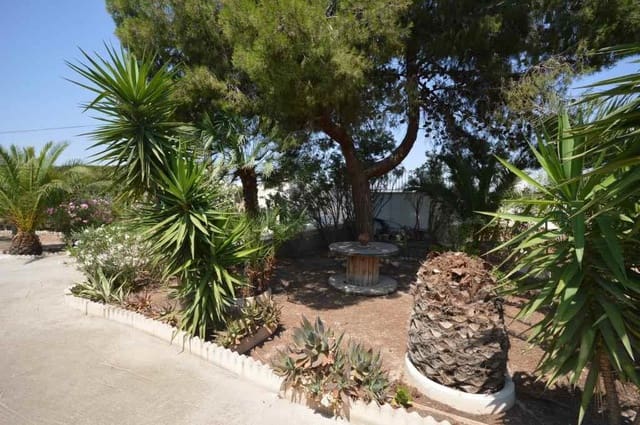 5 soverom Villa til leie i Aspe med svømmebasseng - € 1 200 (Ref: 9755427)