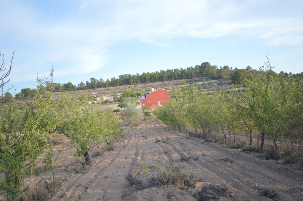 4 bedroom Finca/Country House for rent in Petrel / Petrer - € 700 (Ref: 9755430)