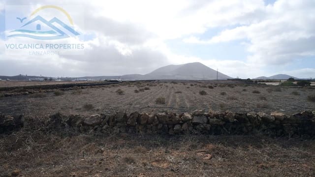 Terreno Non Edificato in vendita in Muñique, Teguise - 75.000 € (Rif: 10026643)
