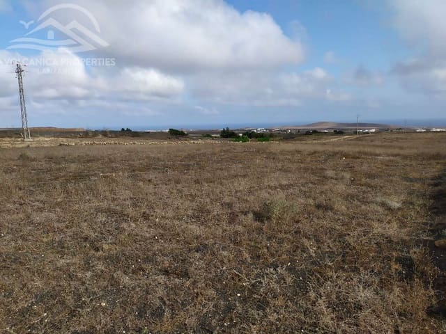 Terreno Non Edificato in vendita in Muñique, Teguise - 75.000 € (Rif: 10026643)