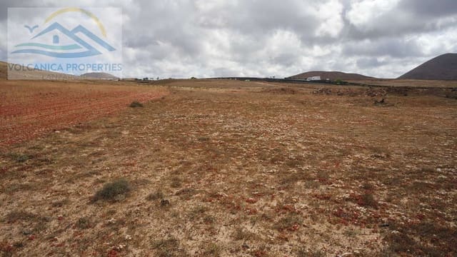 Rakentamaton maa myytävänä paikassa Tinajo - 215 000 € (Ref: 6069873)