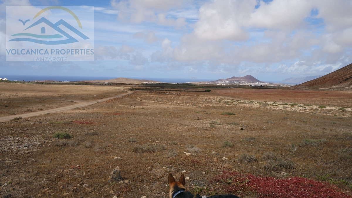 Ubebygd land til salgs i Tinajo - € 215 000 (Ref: 6069873)