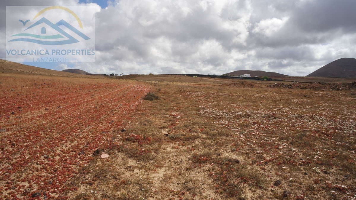 Ubebygd land til salgs i Tinajo - € 215 000 (Ref: 6069873)