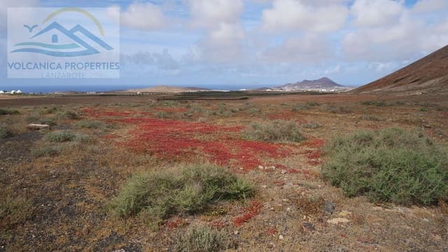 Mark till salu i Tinajo - 215 000 € (Ref: 6069873)
