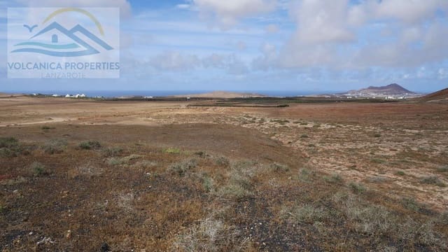 Mark till salu i Tinajo - 215 000 € (Ref: 6069873)
