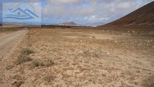 Mark till salu i Tinajo - 215 000 € (Ref: 6069873)