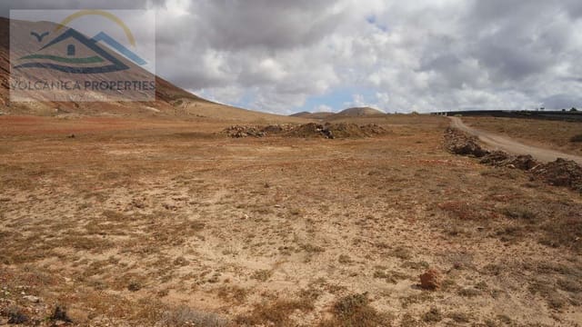 Mark till salu i Tinajo - 215 000 € (Ref: 6069873)