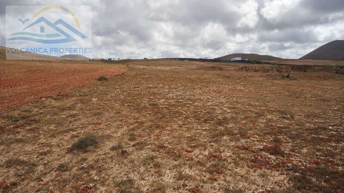 Ubebygd land til salgs i Tinajo - € 215 000 (Ref: 6069873)