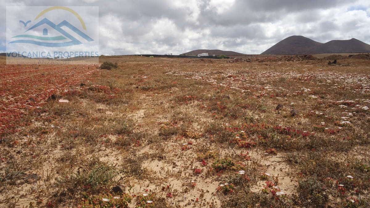 Ubebygd land til salgs i Tinajo - € 215 000 (Ref: 6069873)