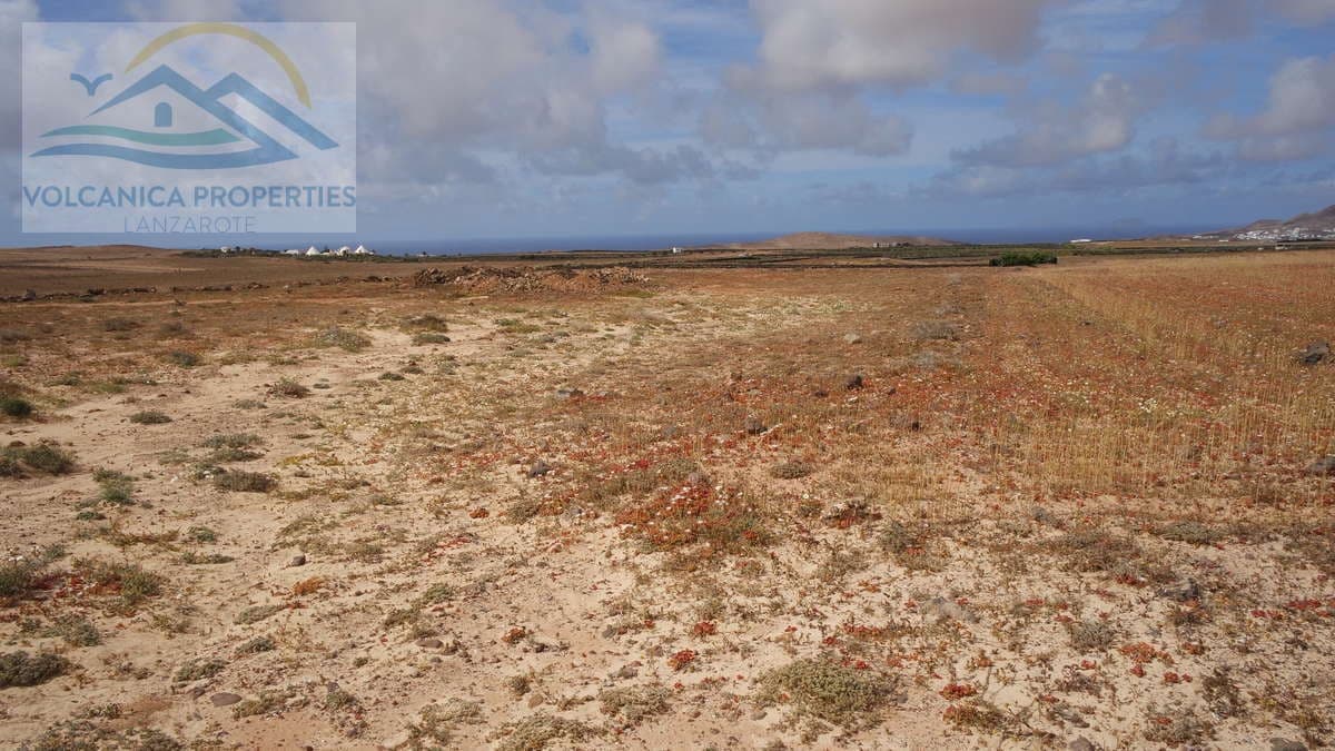 Ubebygd land til salgs i Tinajo - € 215 000 (Ref: 6069873)