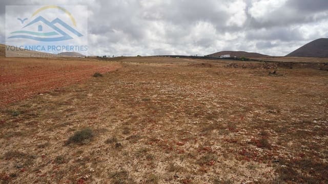 Mark till salu i Tinajo - 215 000 € (Ref: 6069873)