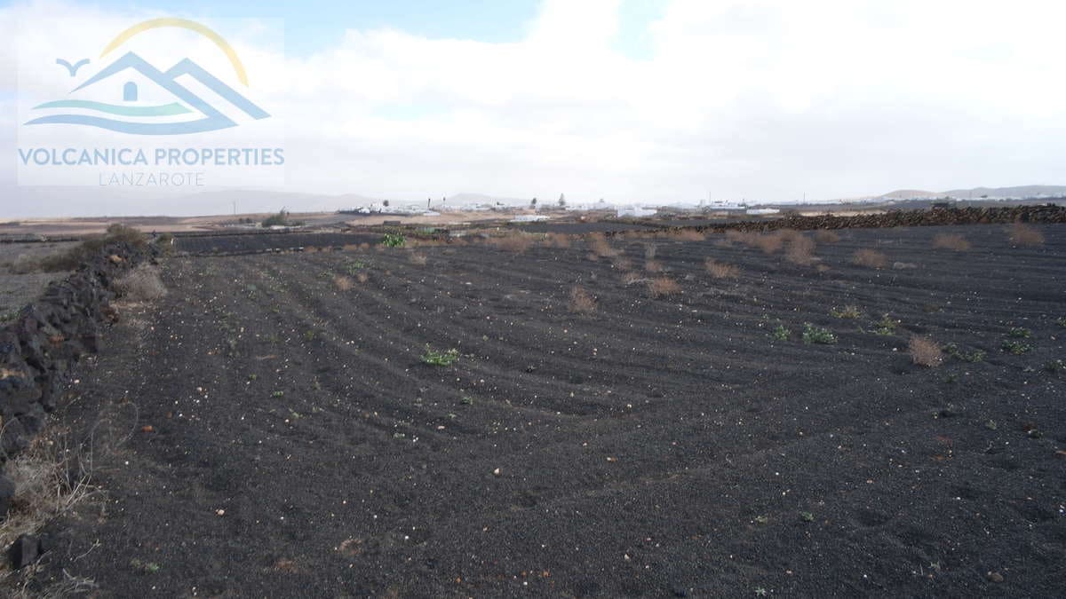 Ubebygd land til salgs i Tinajo - € 25 000 (Ref: 6530757)