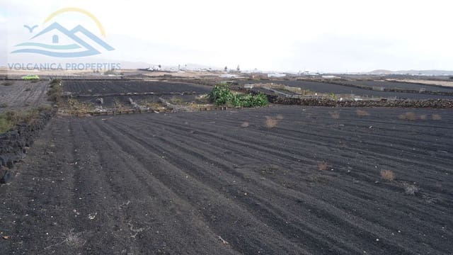 Rakentamaton maa myytävänä paikassa Tinajo - 25 000 € (Ref: 6530757)