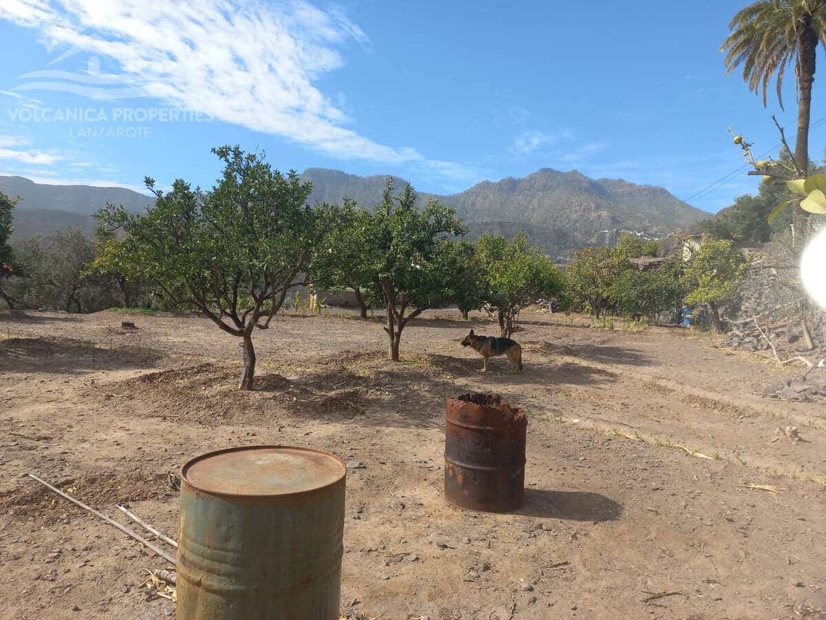 Tontti myytävänä paikassa Santa Lucia de Tirajana - 98 000 € (Ref: 8967850)