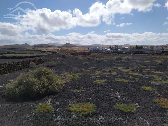 Tomt till salu i El Cuchillo, Tinajo - 148 000 € (Ref: 9031381)