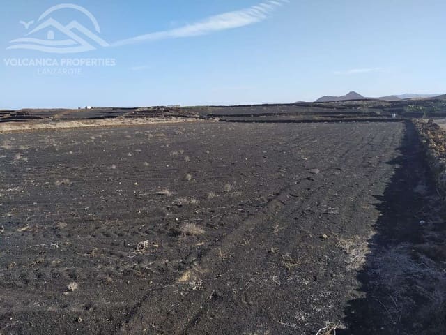 Grunde uden byggetilladelser til salg i El Cuchillo, Tinajo - € 39.000 (Ref: 9445557)