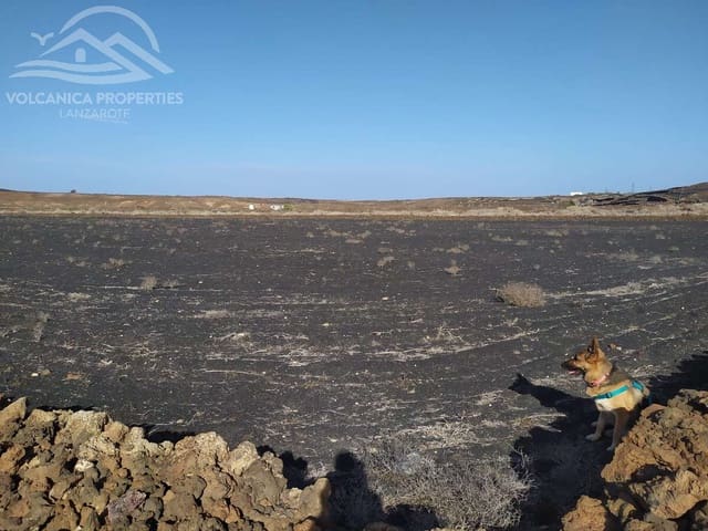 Grunde uden byggetilladelser til salg i El Cuchillo, Tinajo - € 39.000 (Ref: 9445557)