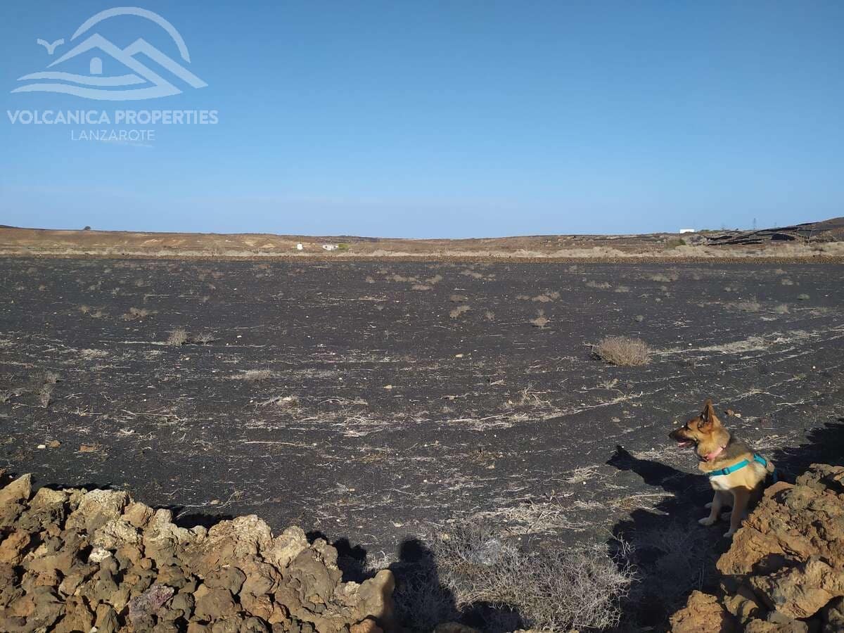 Undeveloped Land for sale in El Cuchillo - € 39,000 (Ref: 9445557)