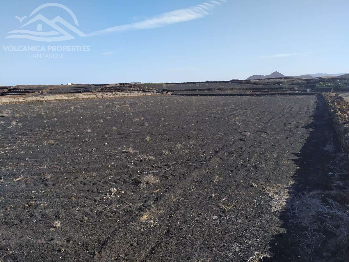 Undeveloped Land for sale in El Cuchillo - € 39,000 (Ref: 9445557)