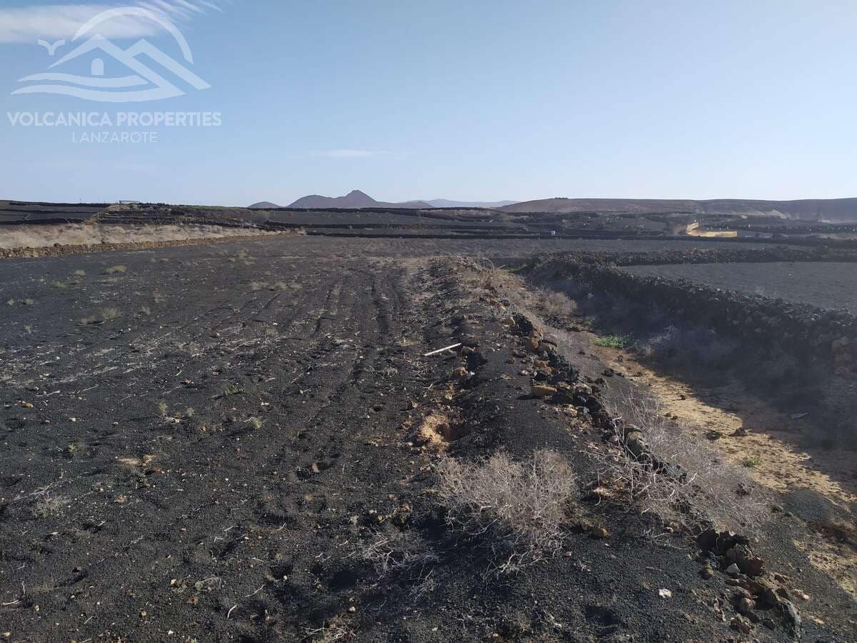Undeveloped Land for sale in El Cuchillo - € 39,000 (Ref: 9445557)