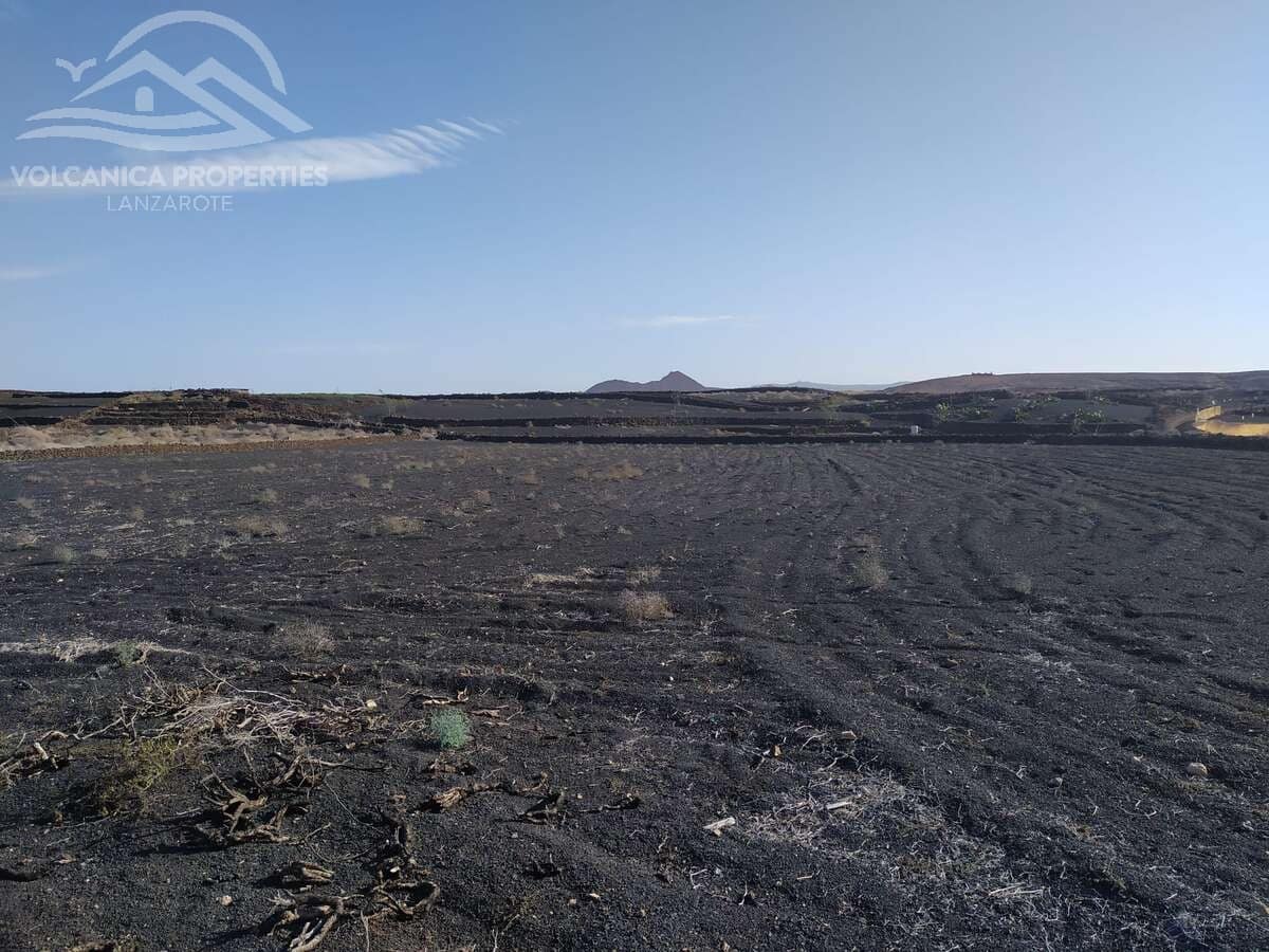 Undeveloped Land for sale in El Cuchillo - € 39,000 (Ref: 9445557)