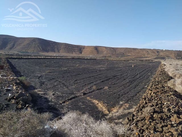 Terreno/Finca Rústica en El Cuchillo, Tinajo en venta - 39.000 € (Ref: 9445557)
