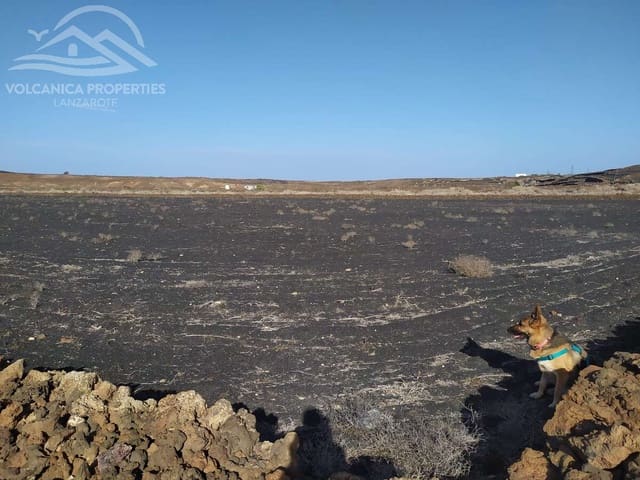 Terreno/Finca Rústica en El Cuchillo, Tinajo en venta - 39.000 € (Ref: 9445557)