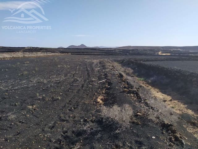 Terreno/Finca Rústica en El Cuchillo, Tinajo en venta - 39.000 € (Ref: 9445557)