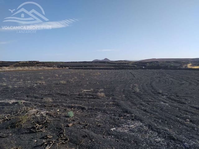 Terreno/Finca Rústica en El Cuchillo, Tinajo en venta - 39.000 € (Ref: 9445557)