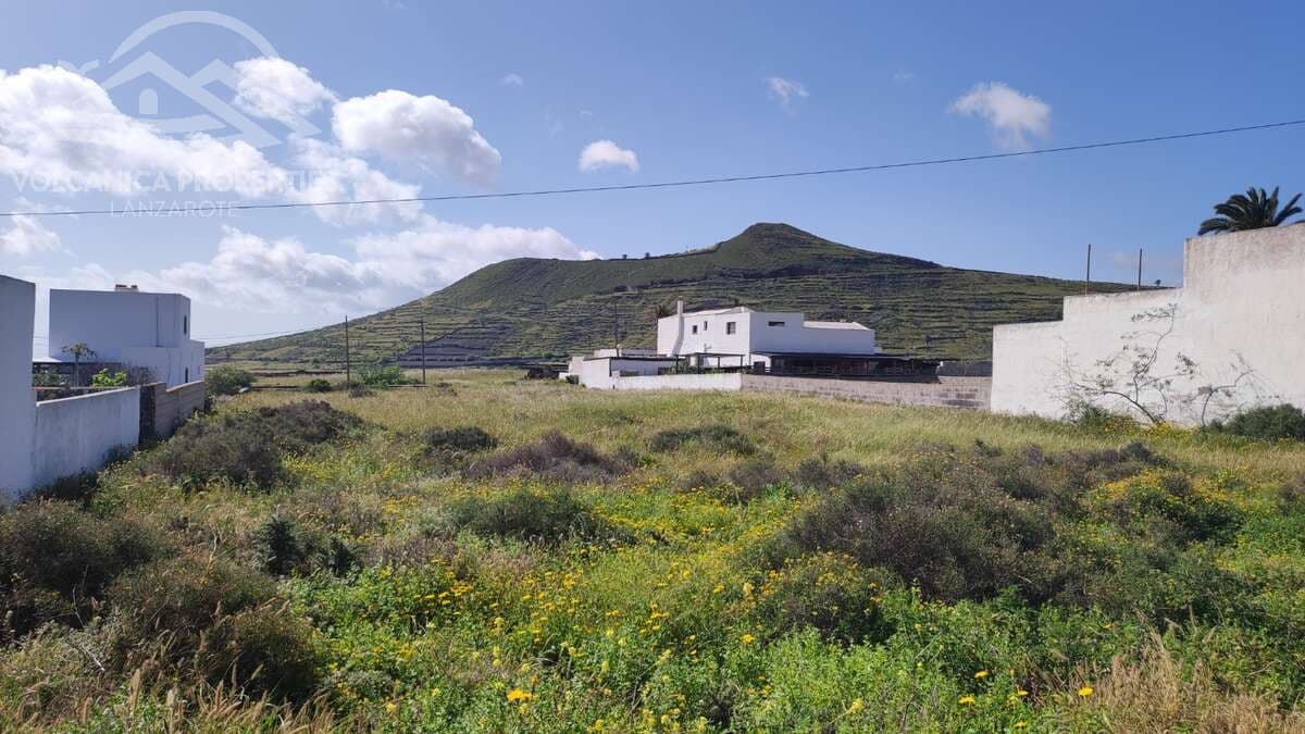 Byggetomt til salgs i Maguez - € 175 000 (Ref: 9772599)