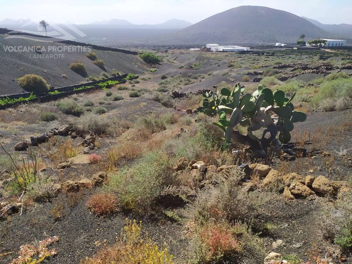 Solar/Parcela en Tías en venta - 400.000 € (Ref: 9919205)