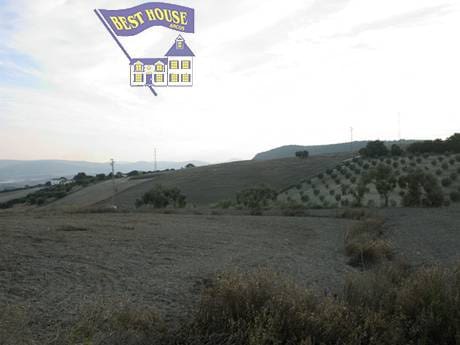 Grond te koop in Arcos de la Frontera - € 52.000 (Ref: 3564628)