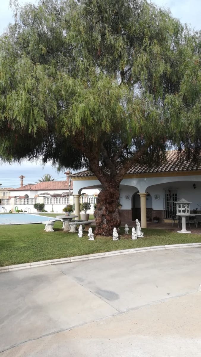 8 bedroom Villa for sale in Arcos de la Frontera with pool garage - € 540,000 (Ref: 3564938)