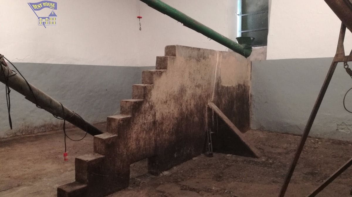 10 soveværelse Finca/Landehus til salg i Arcos de la Frontera med swimmingpool - € 350.000 (Ref: 3595751)