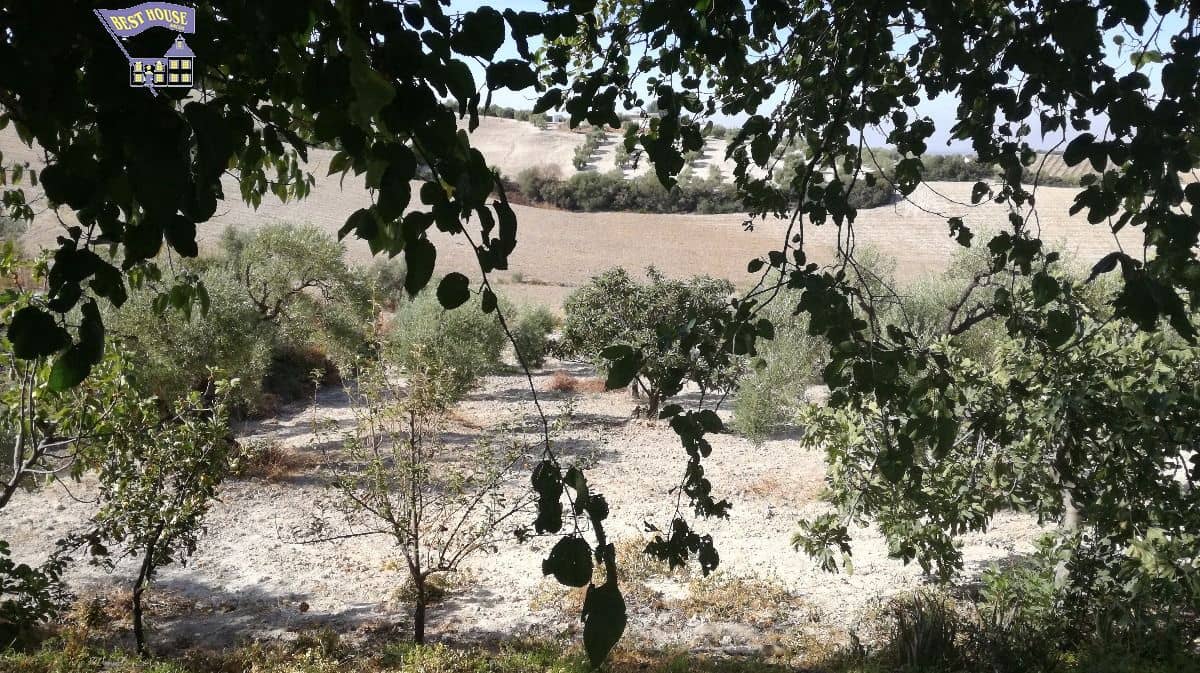 10 soveværelse Finca/Landehus til salg i Arcos de la Frontera med swimmingpool - € 350.000 (Ref: 3595751)