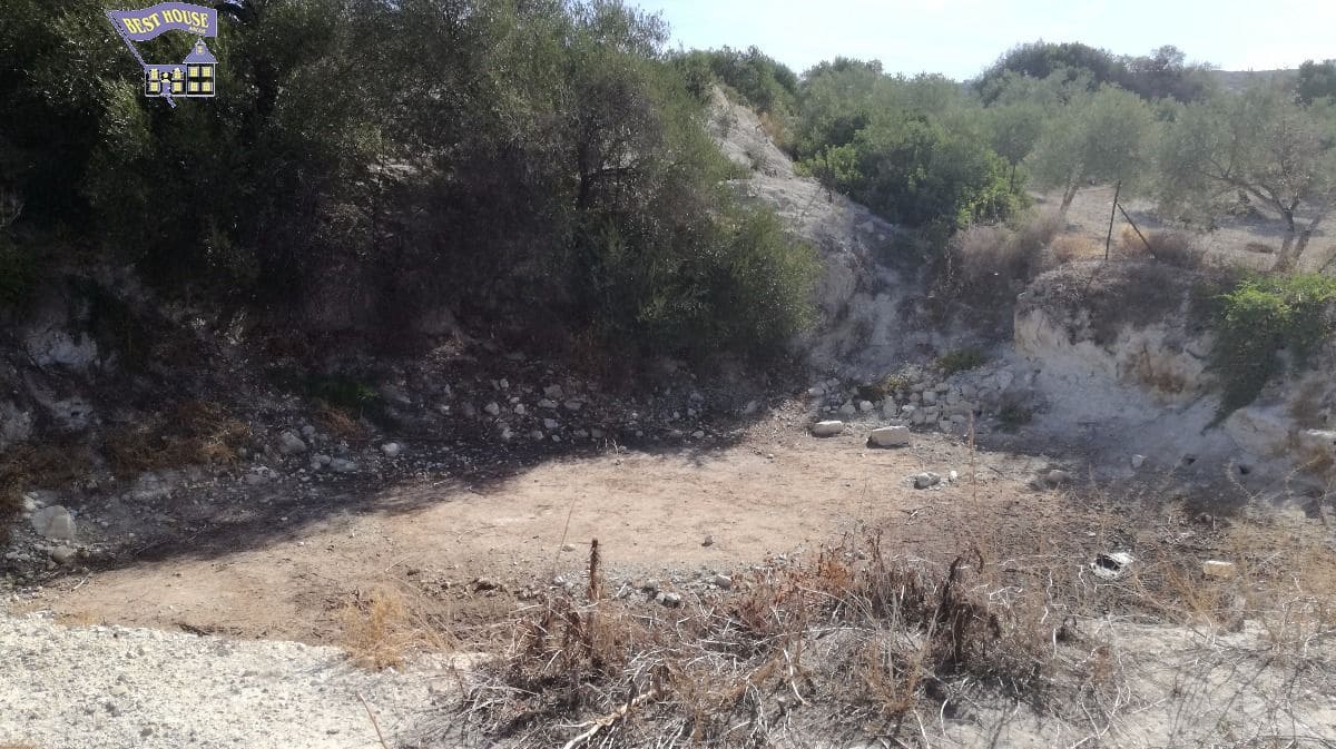 10 soveværelse Finca/Landehus til salg i Arcos de la Frontera med swimmingpool - € 350.000 (Ref: 3595751)