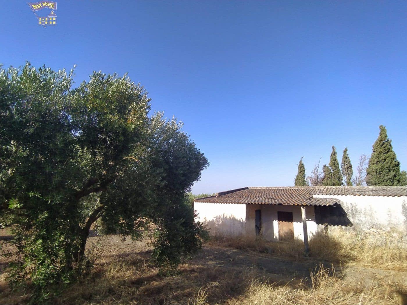 4 quarto Quinta/Casa Rural para venda em Arcos de la Frontera - 220 000 € (Ref: 3763186)