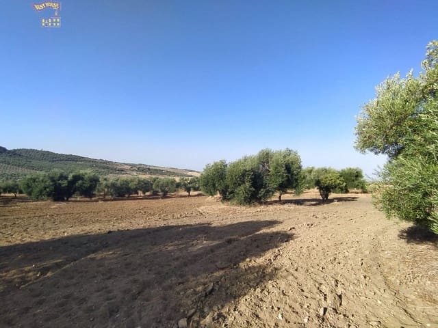4 quarto Quinta/Casa Rural para venda em Arcos de la Frontera - 220 000 € (Ref: 3763186)